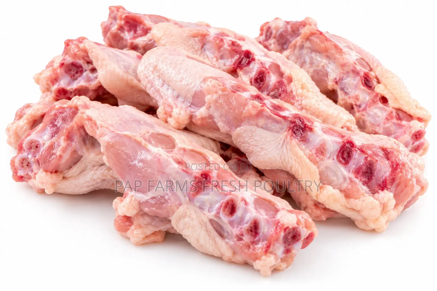 Freshly Processed Chicken Back