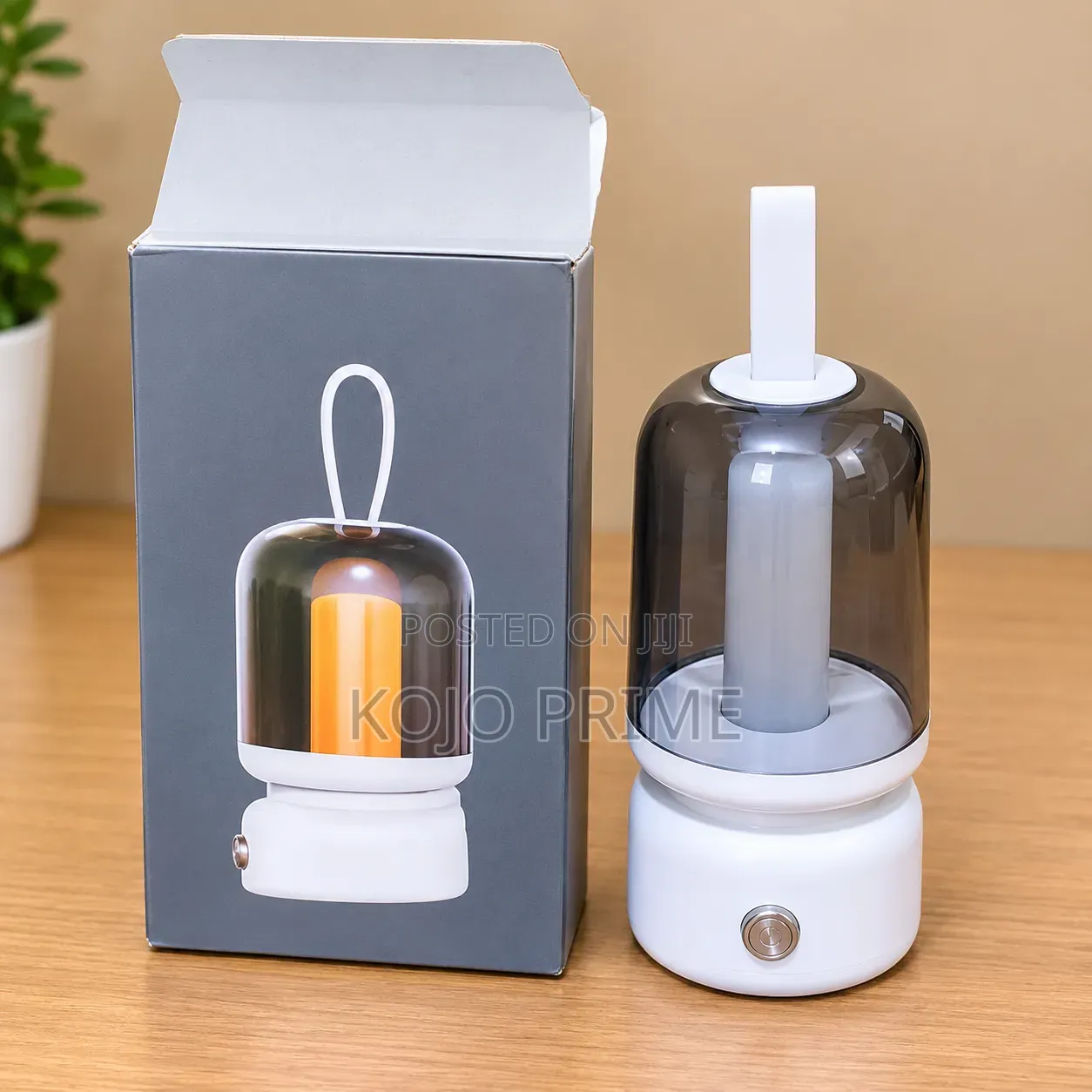 Portable Led Light