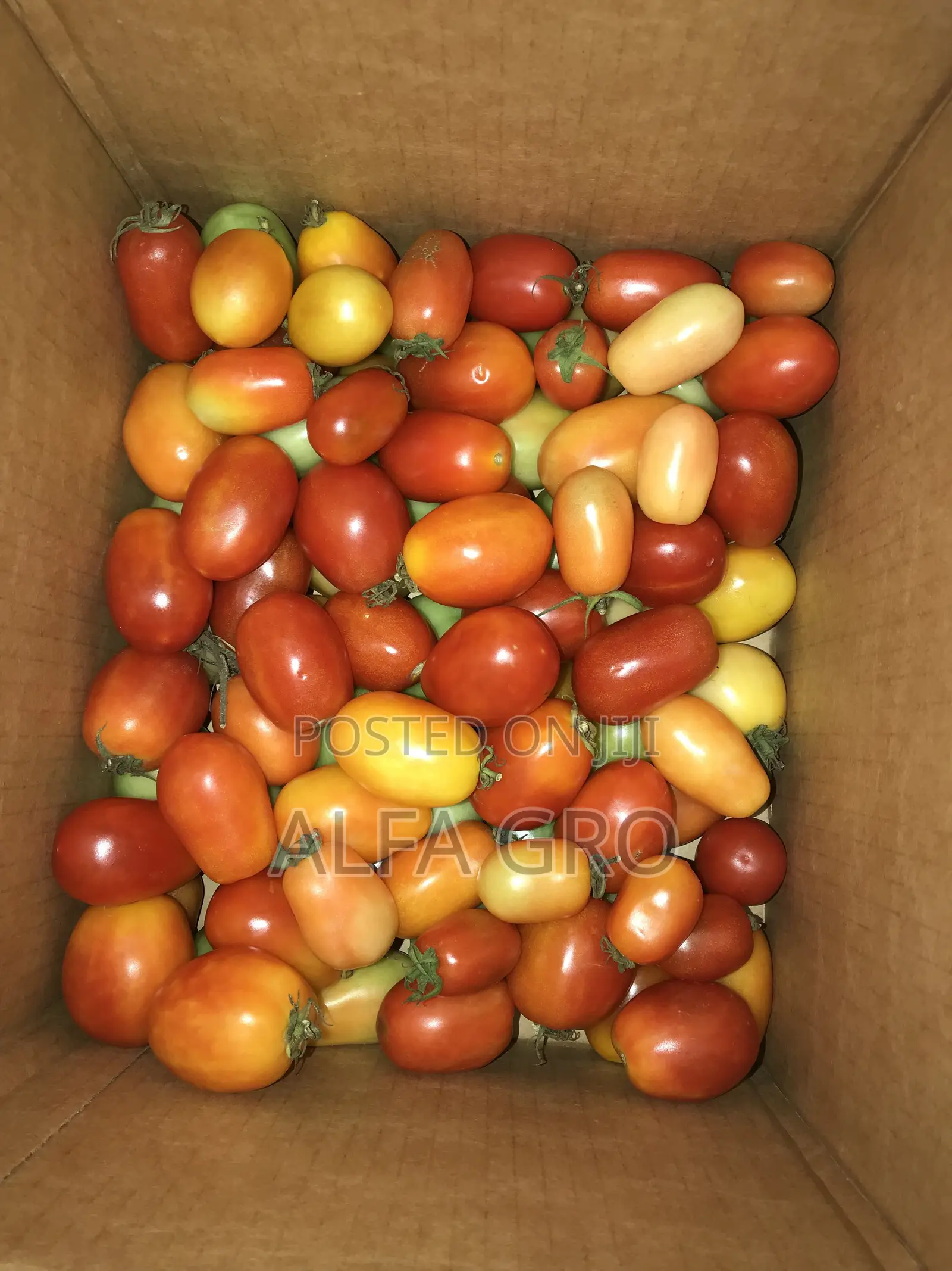 Tomatoes(5kg)