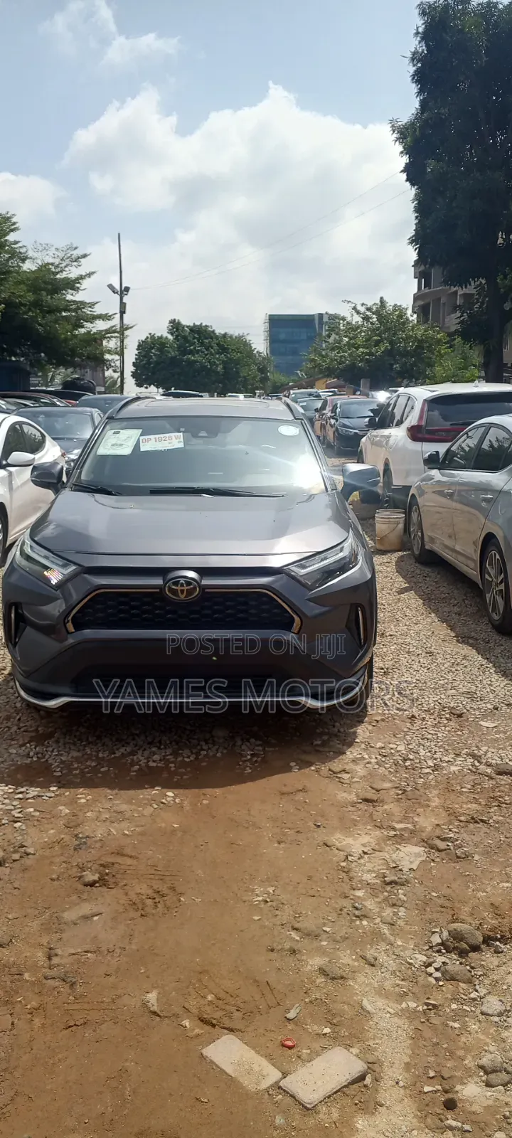Toyota RAV4 XLE 2022 Gray