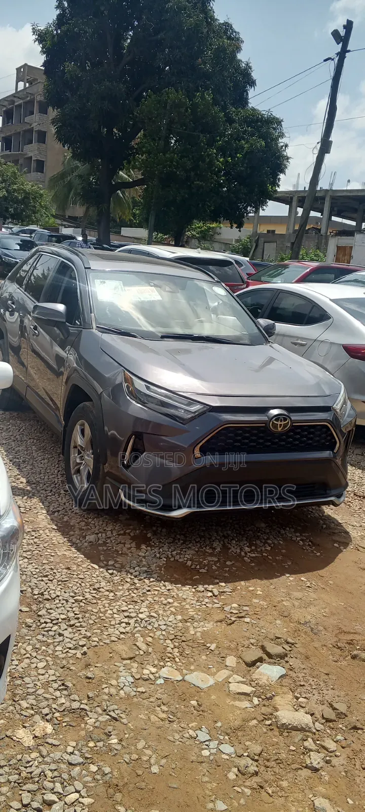 Toyota RAV4 XLE 2022 Gray
