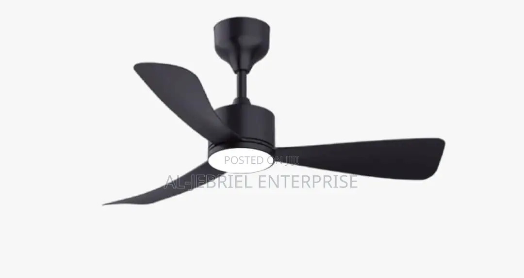 Ceiling Fan With Light
