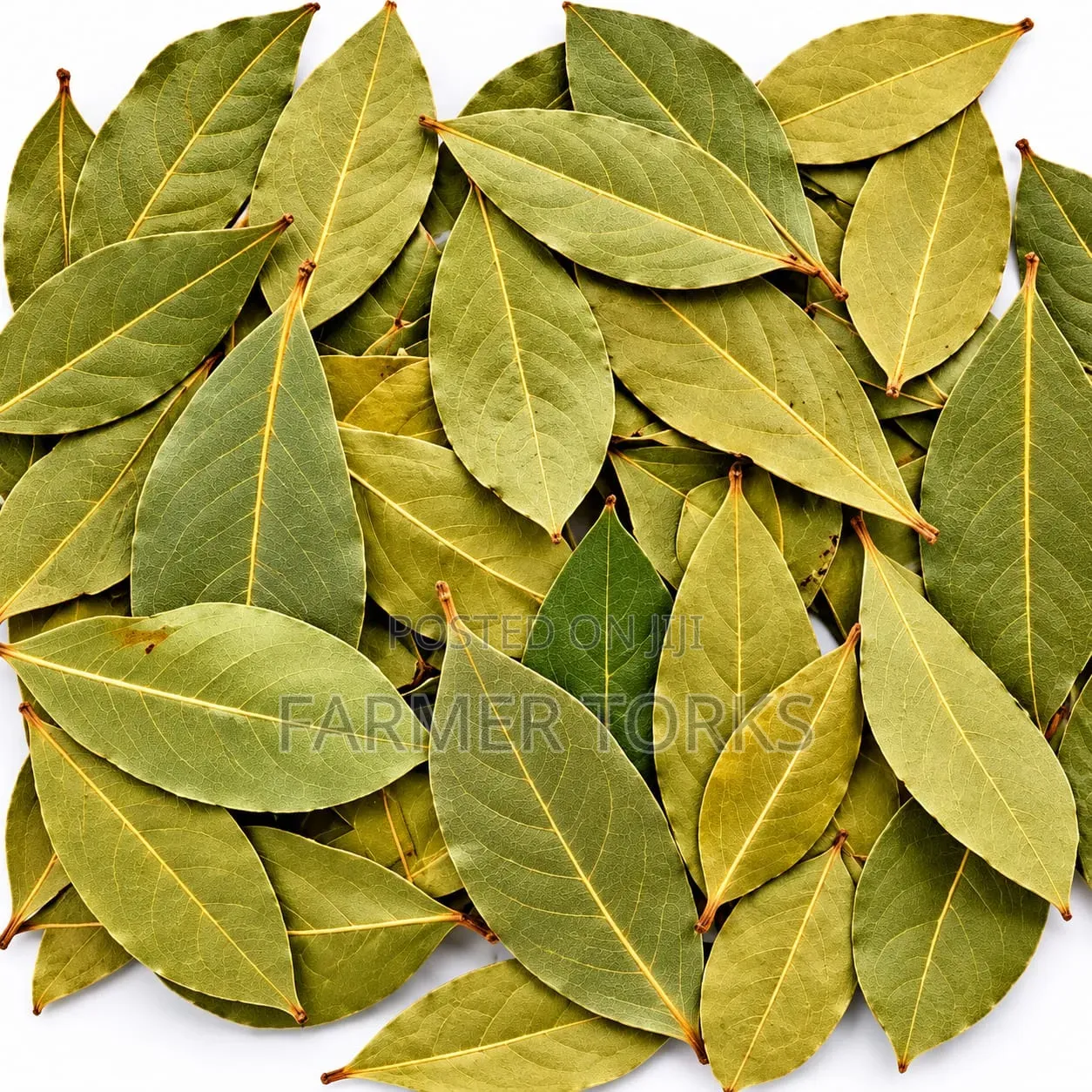Bay Leaves