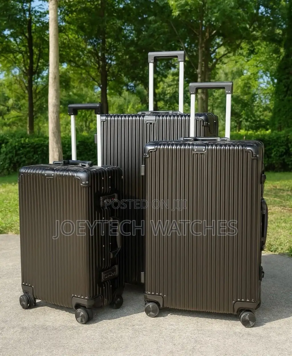 Luxurious Traveling Bag Set