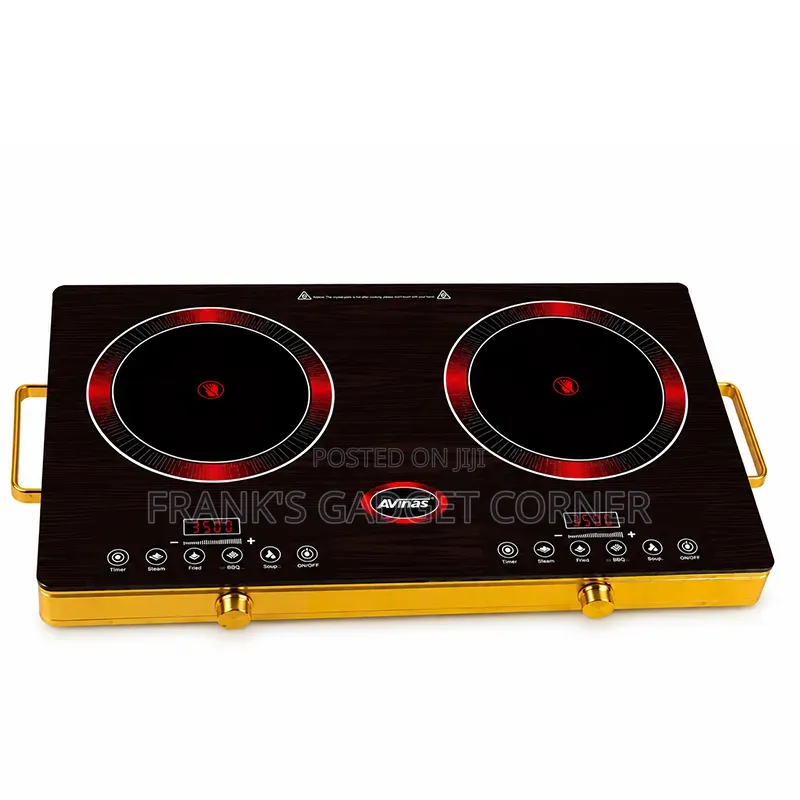 AVinas Double Digital Hot Plate