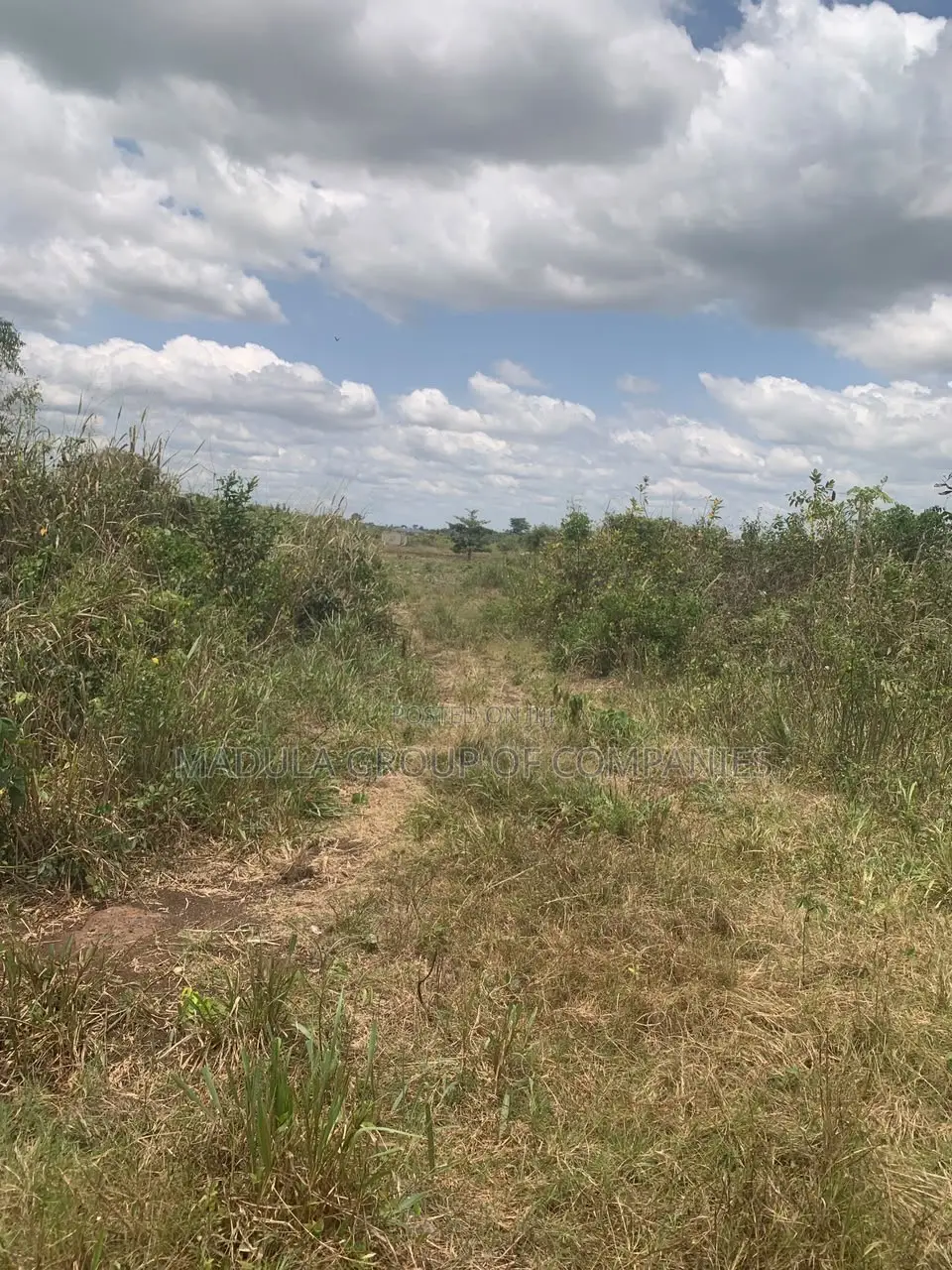 Litigation-Free Land at Sege Junction - Free Site Visit - Call Madula