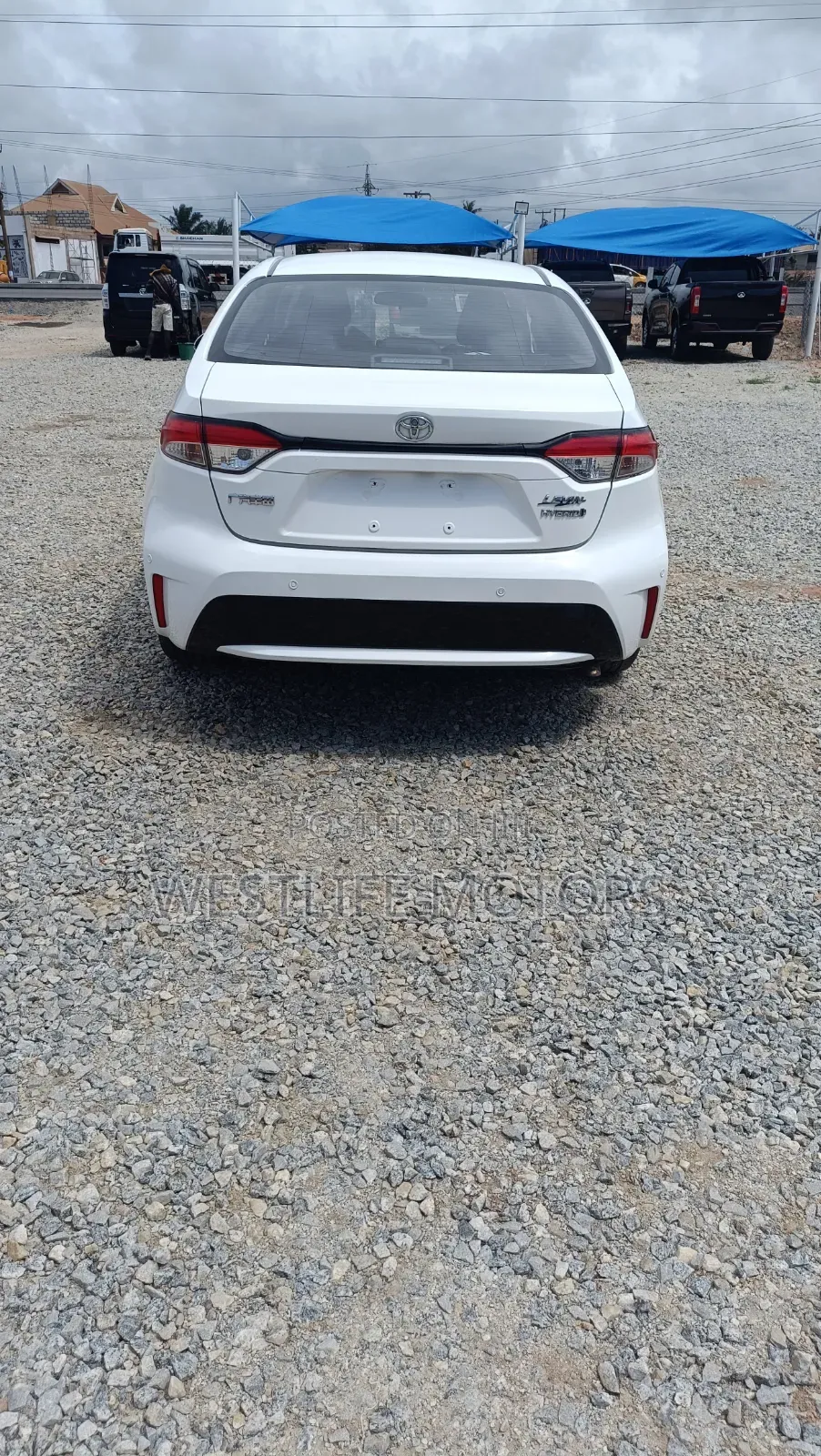 Toyota Levin Hybrid Luxury 2022 White