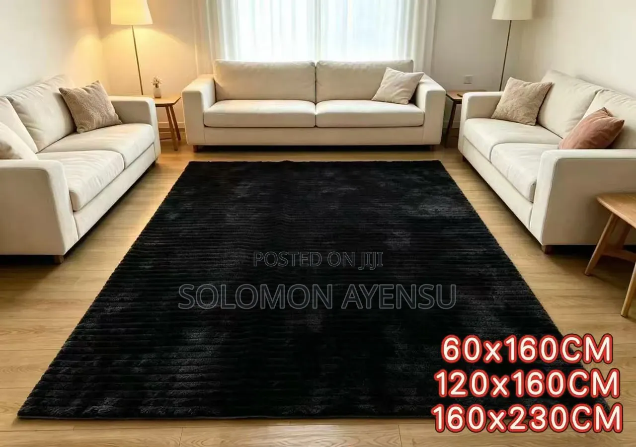Large Area Rug / Standard Living Room Rug