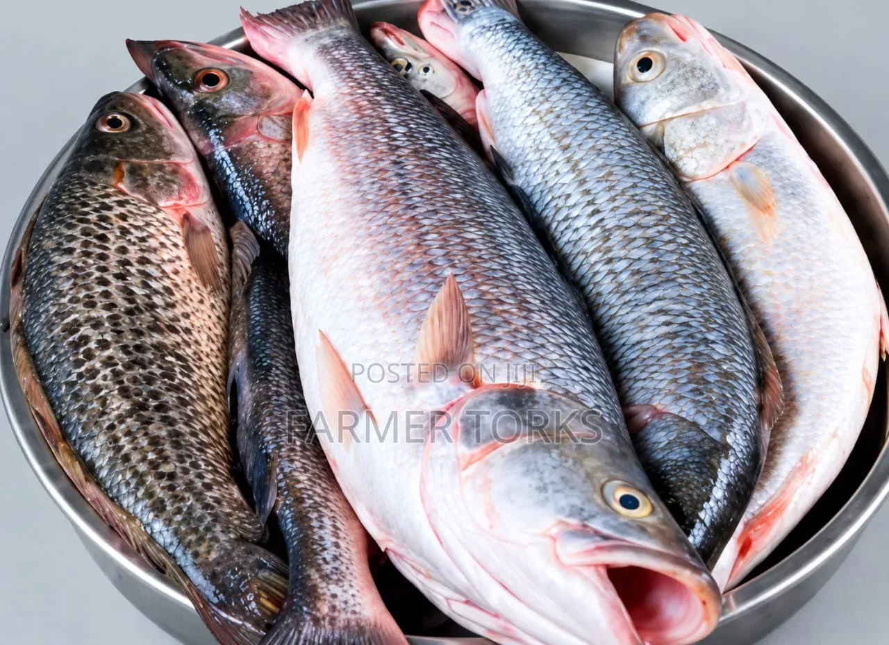 Cassava Fish