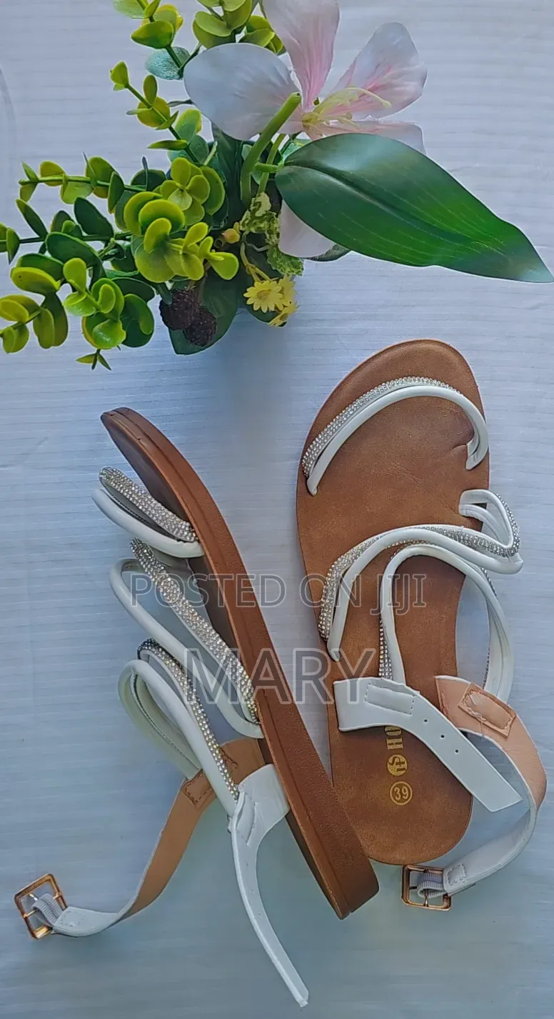 A Pair of Flat, Strappy Women's Sandals