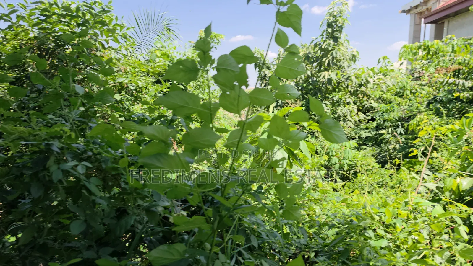 Land at Atimatim-Essen for Sale