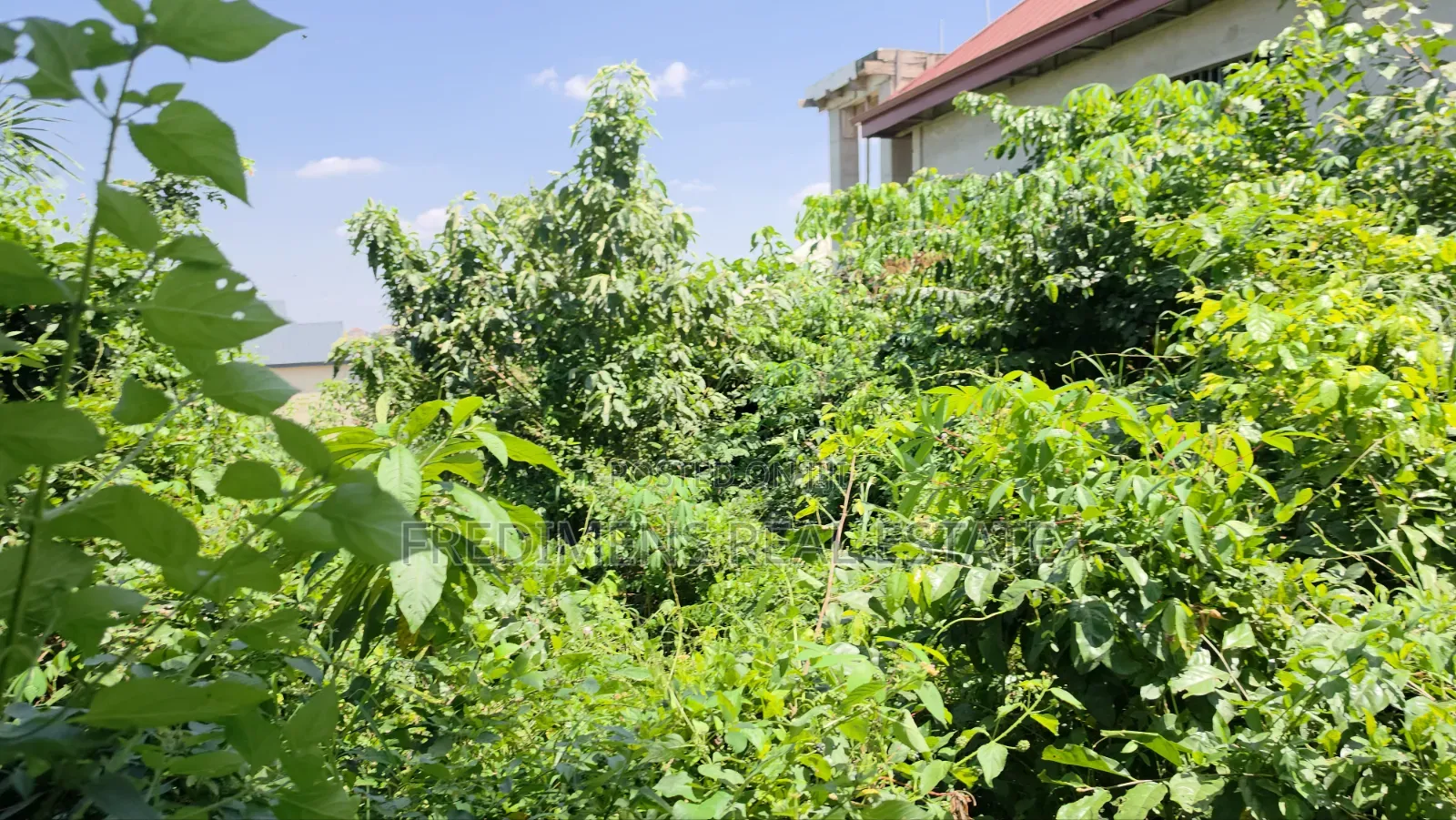 Land at Atimatim-Essen for Sale