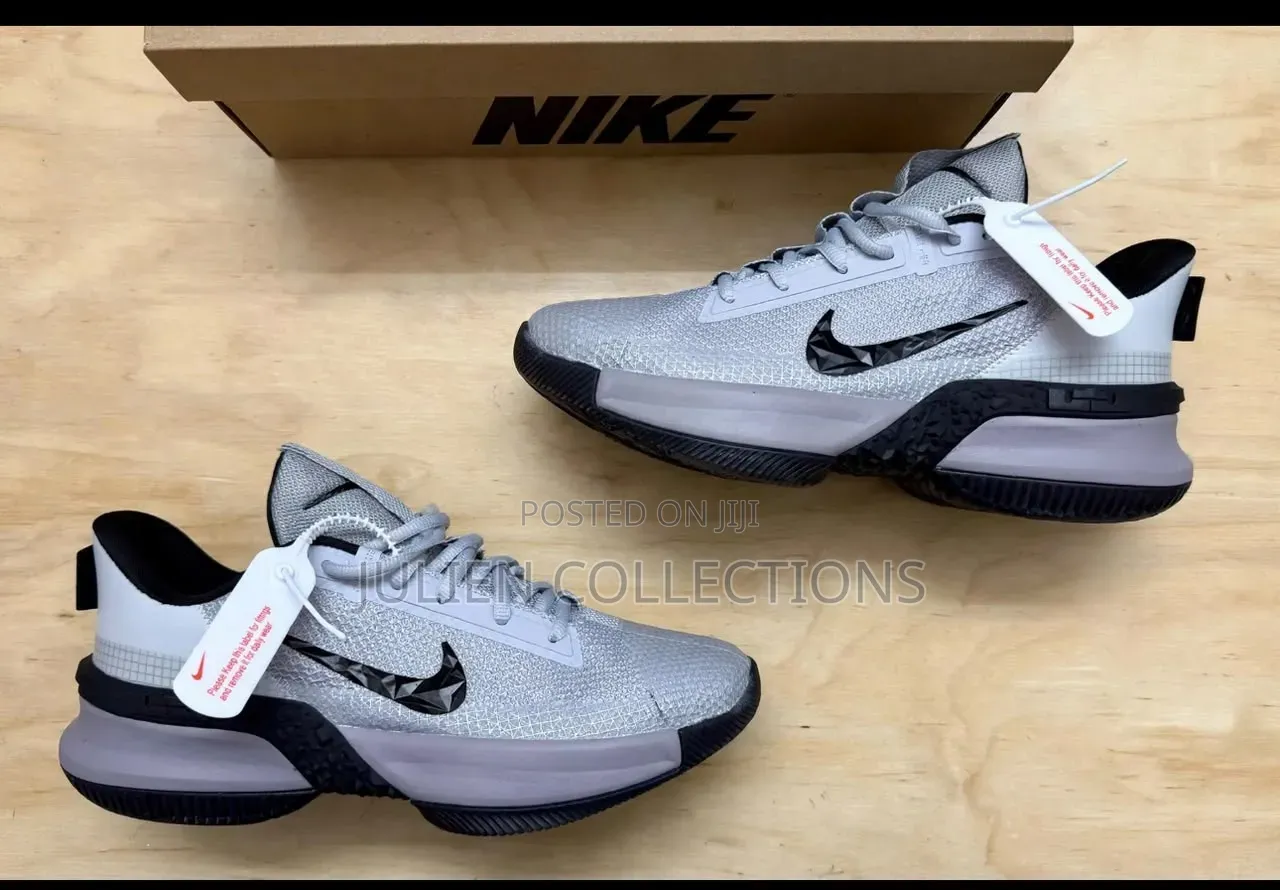 Nike Air Max LeBron Colors