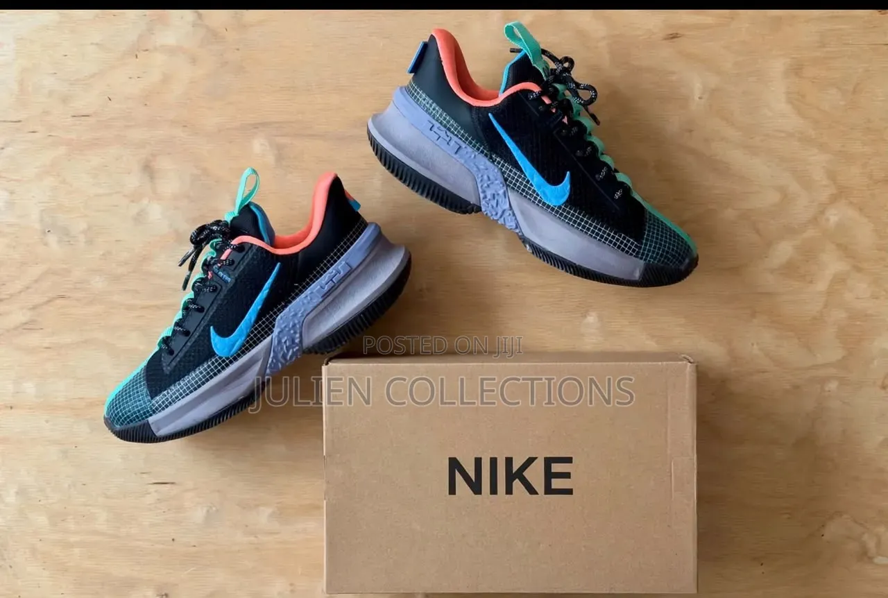 Nike Air Max LeBron Colors