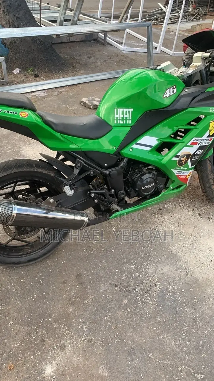 Kawasaki Ninja 300 2025 Green