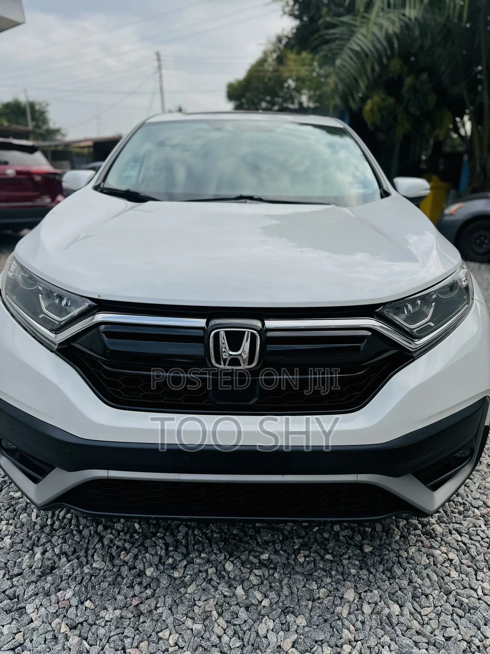 Honda CR-V EX-L AWD 2020 White