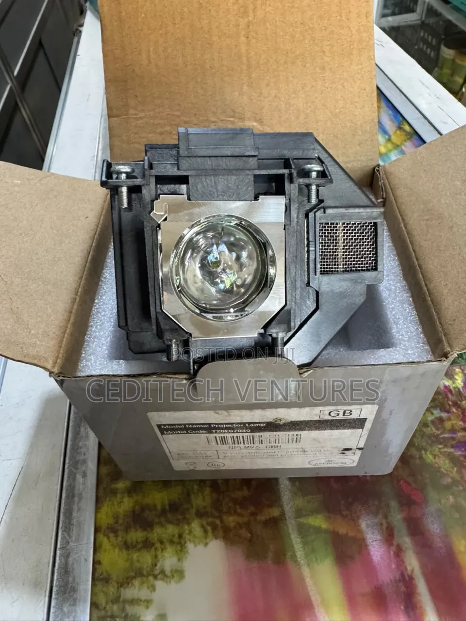 Projector Lamp Bulb Replacement