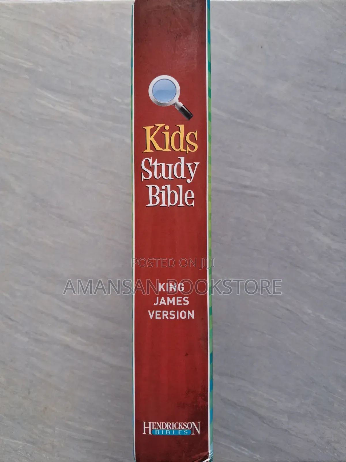 KJV Kids Study Bible (Full Children's Bible)