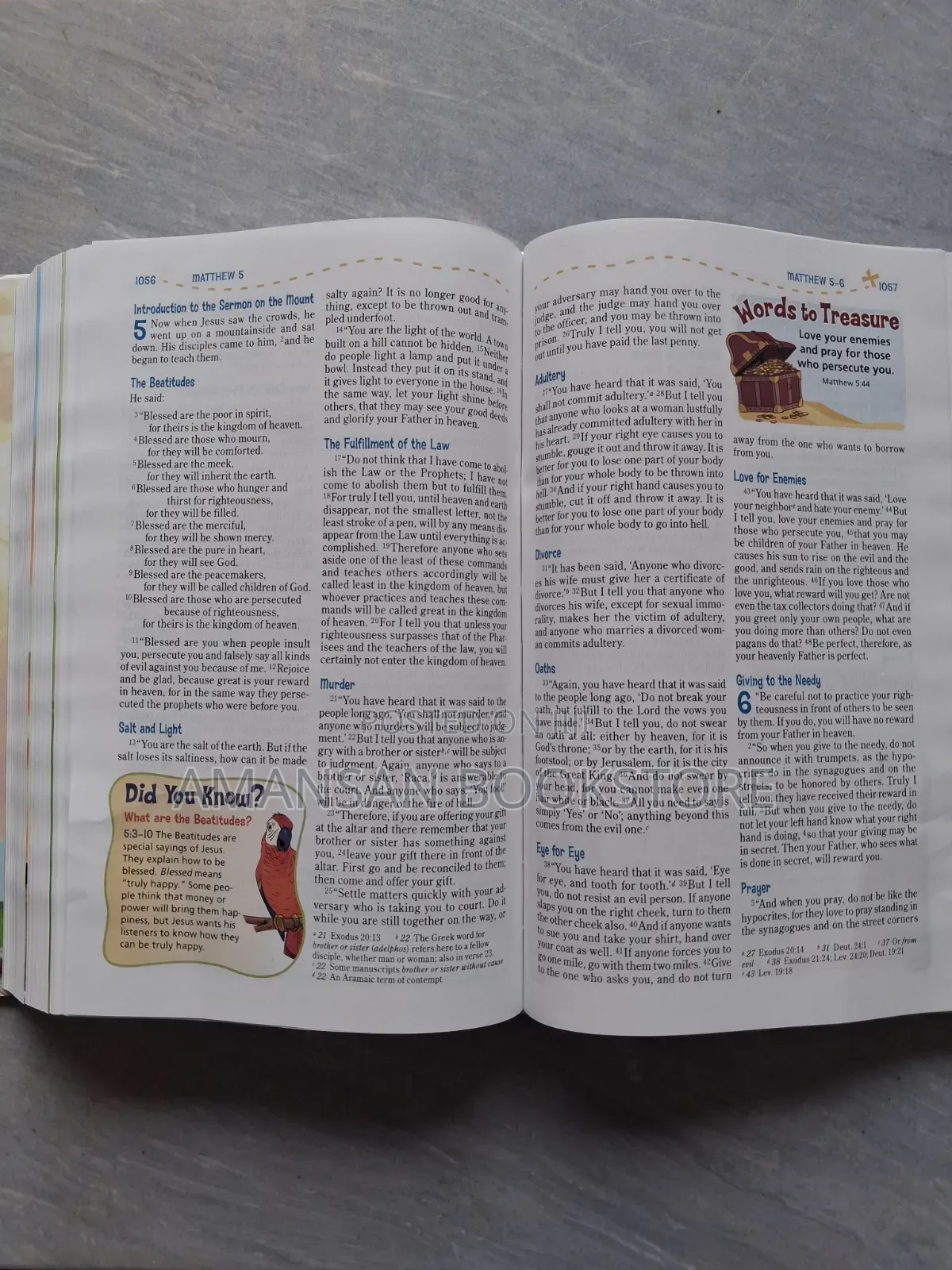 NIV Adventure Bible (Full Children's Bible)