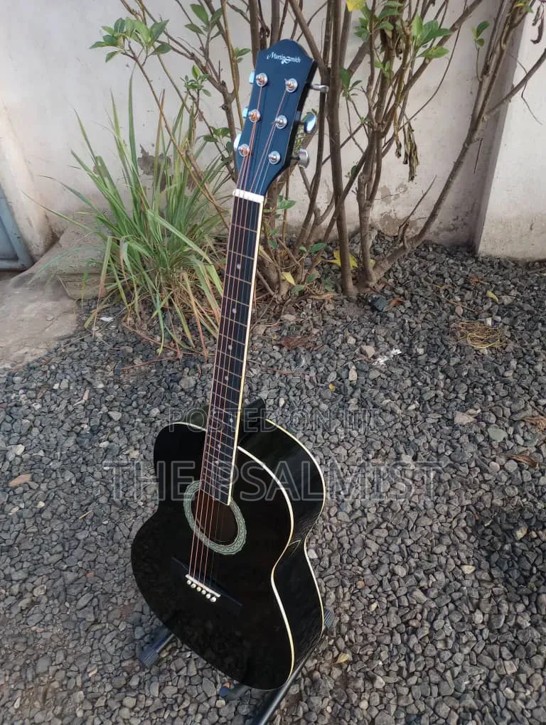 Martin Smith Bronze Strings Guitar & Padded Bag