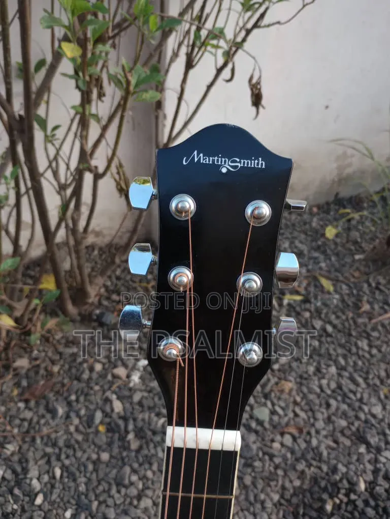 Martin Smith Bronze Strings Guitar & Padded Bag