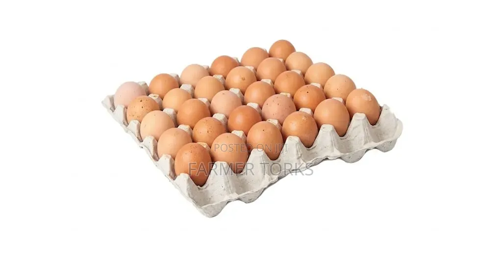 Crate of Egg