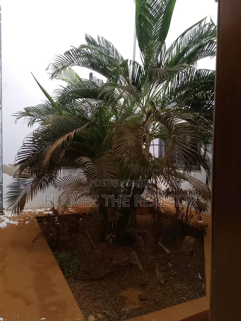Furnished 5bdrm House in Adenta, Commandos for rent