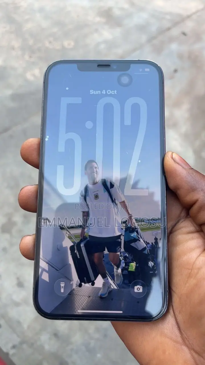 Apple iPhone 12 Pro Max 256 GB Gray