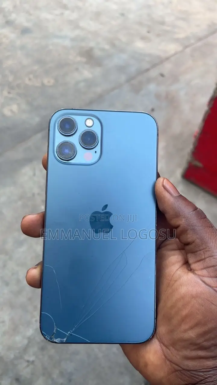 Apple iPhone 12 Pro Max 256 GB Gray