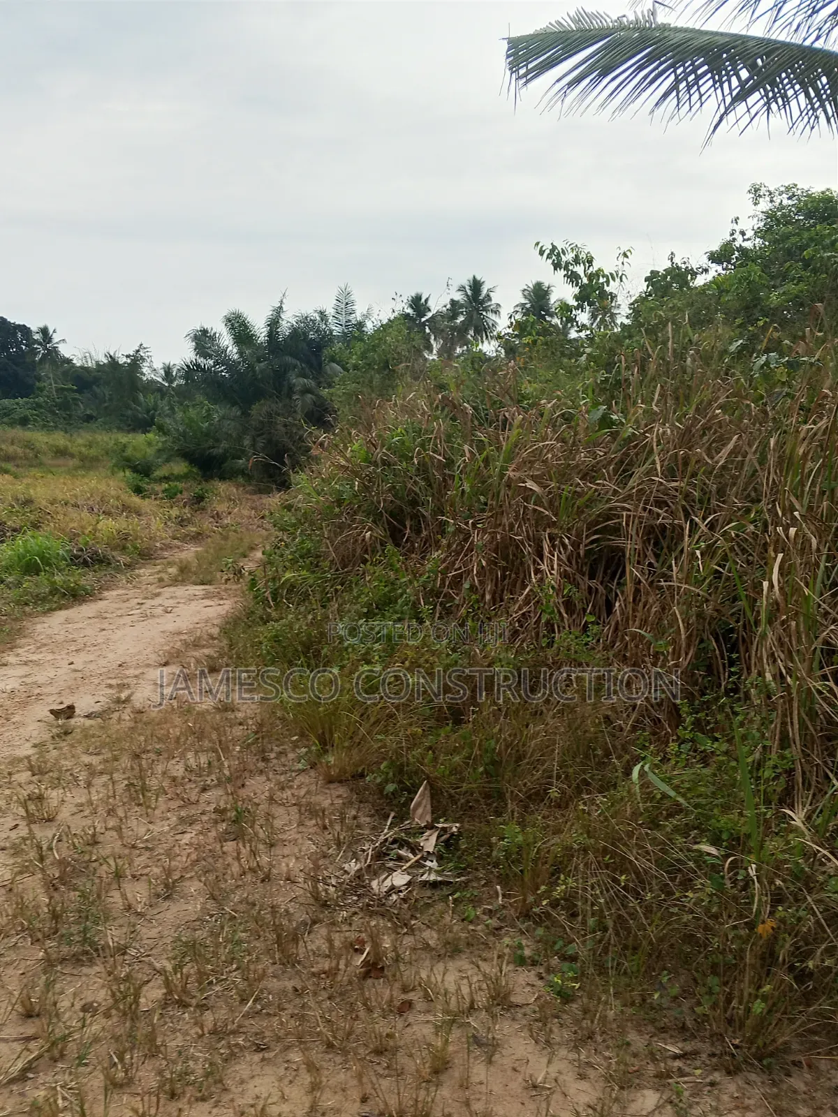 Farmland for Sale