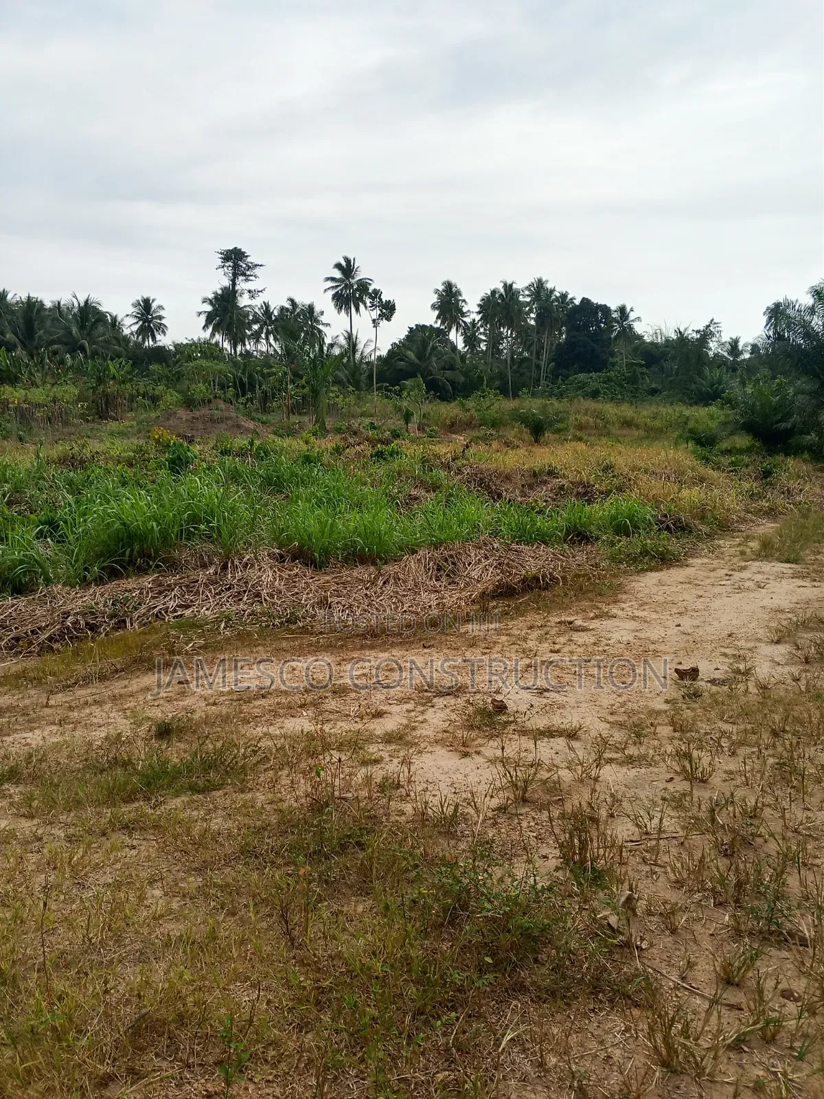 Farmland for Sale