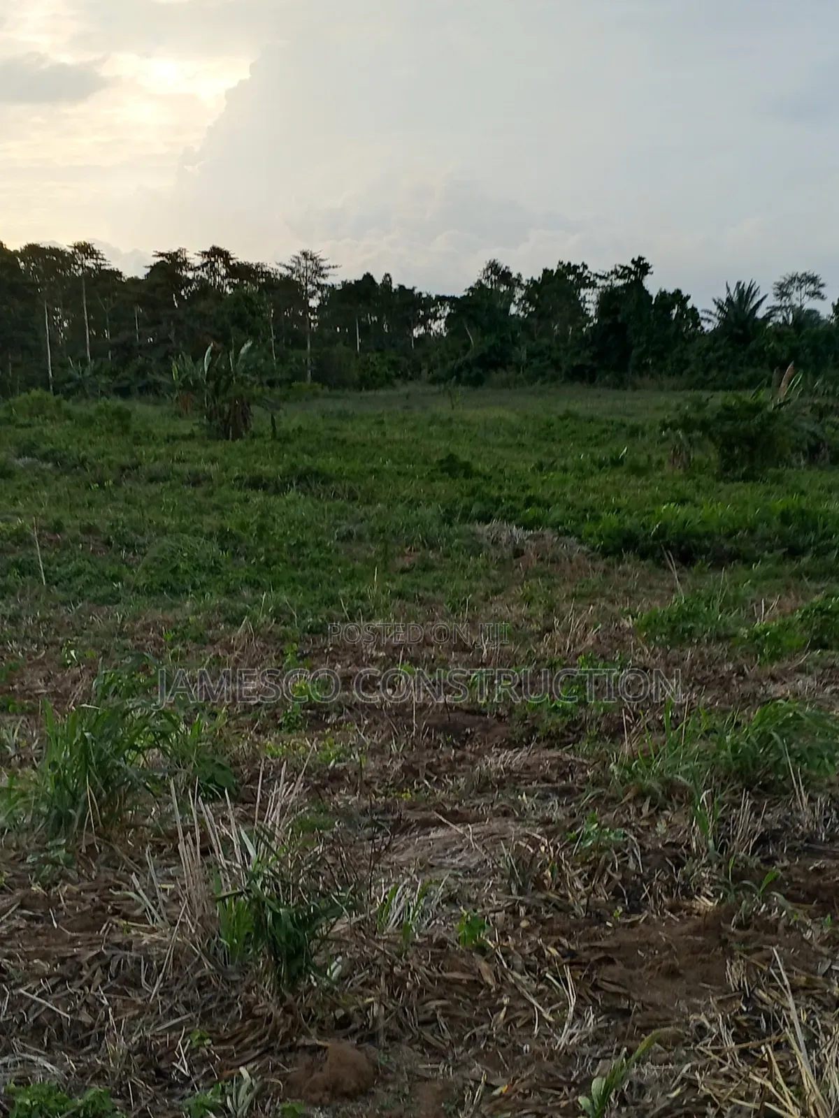 Farmland for Sale
