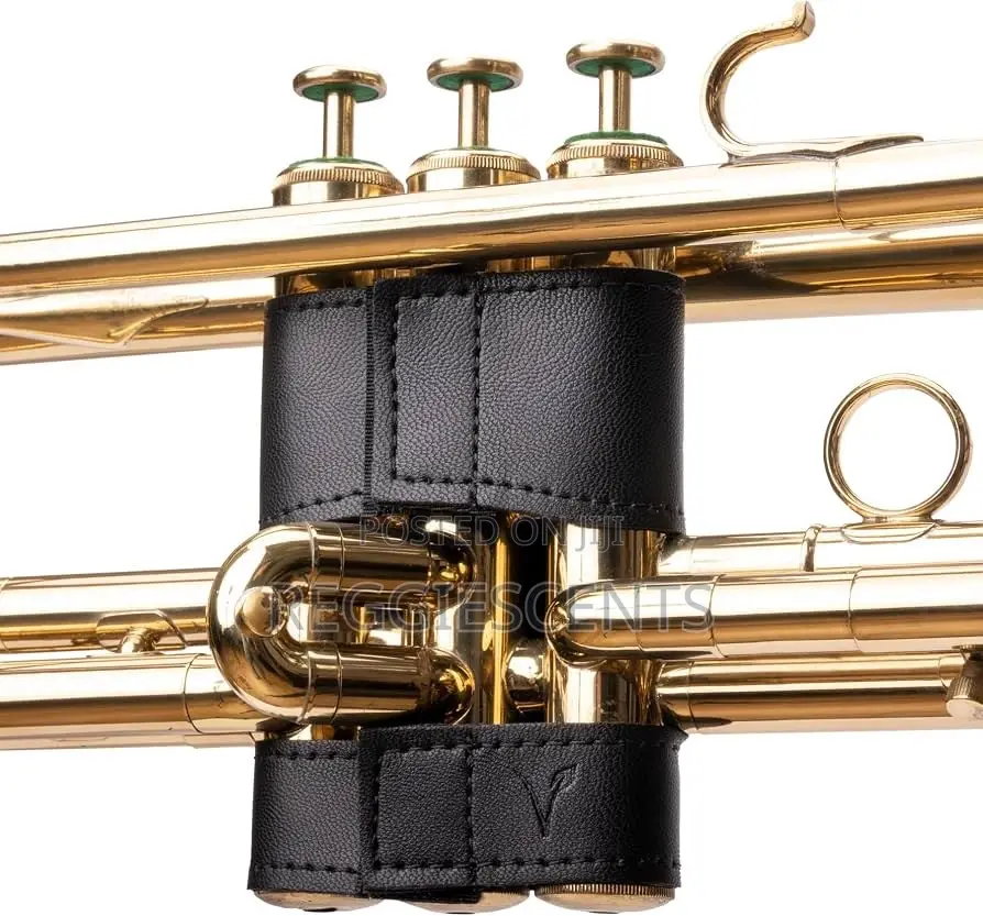 Trumpet Protective Valve Guide