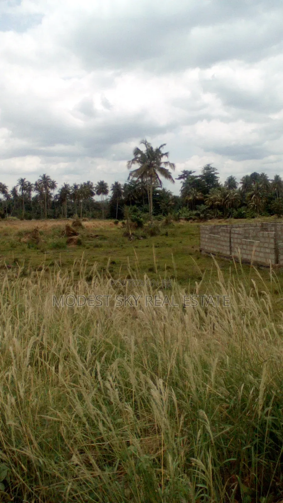 Plots of Land at Nsawam Anoff