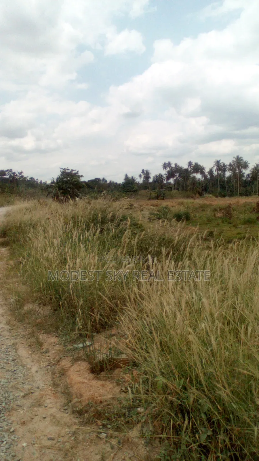 Plots of Land at Nsawam Anoff