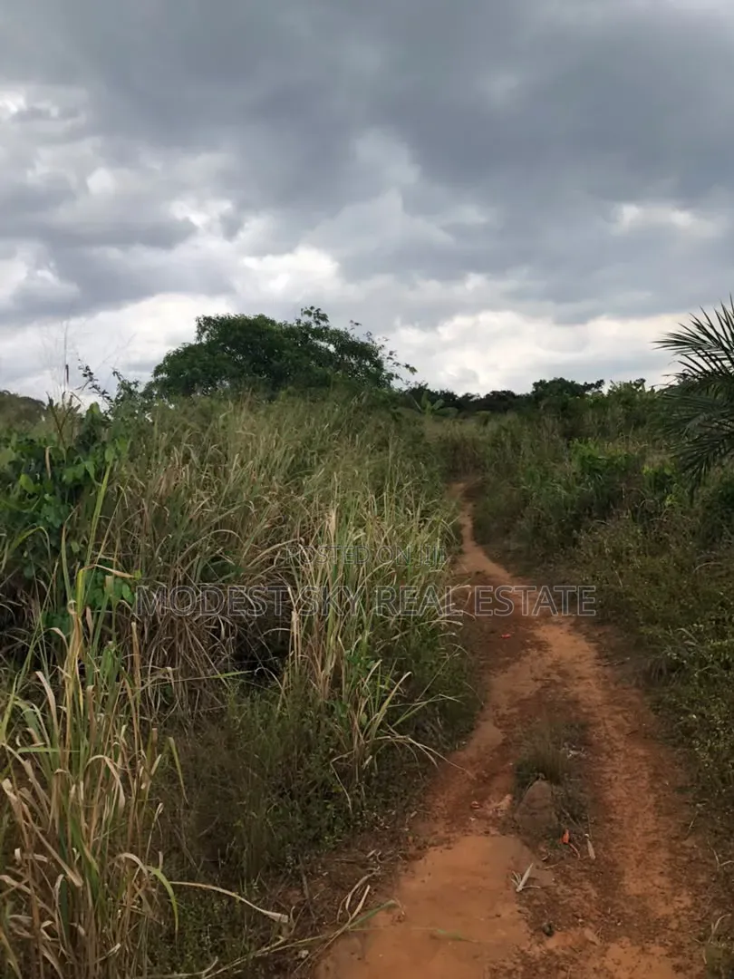 Registered Plot of Land for Sell at Oburi
