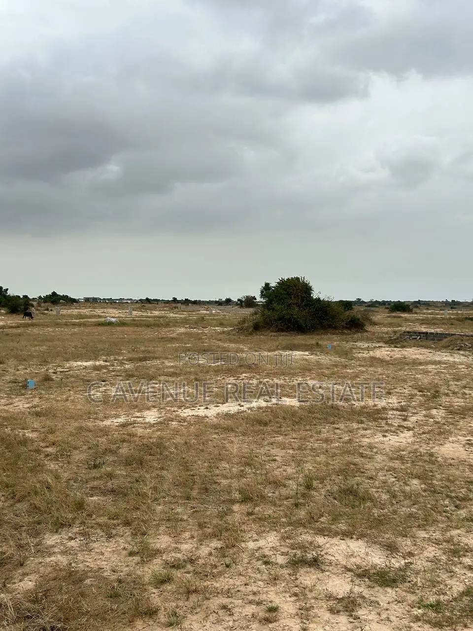Own a Full Plot at Tsopoli Skyport City