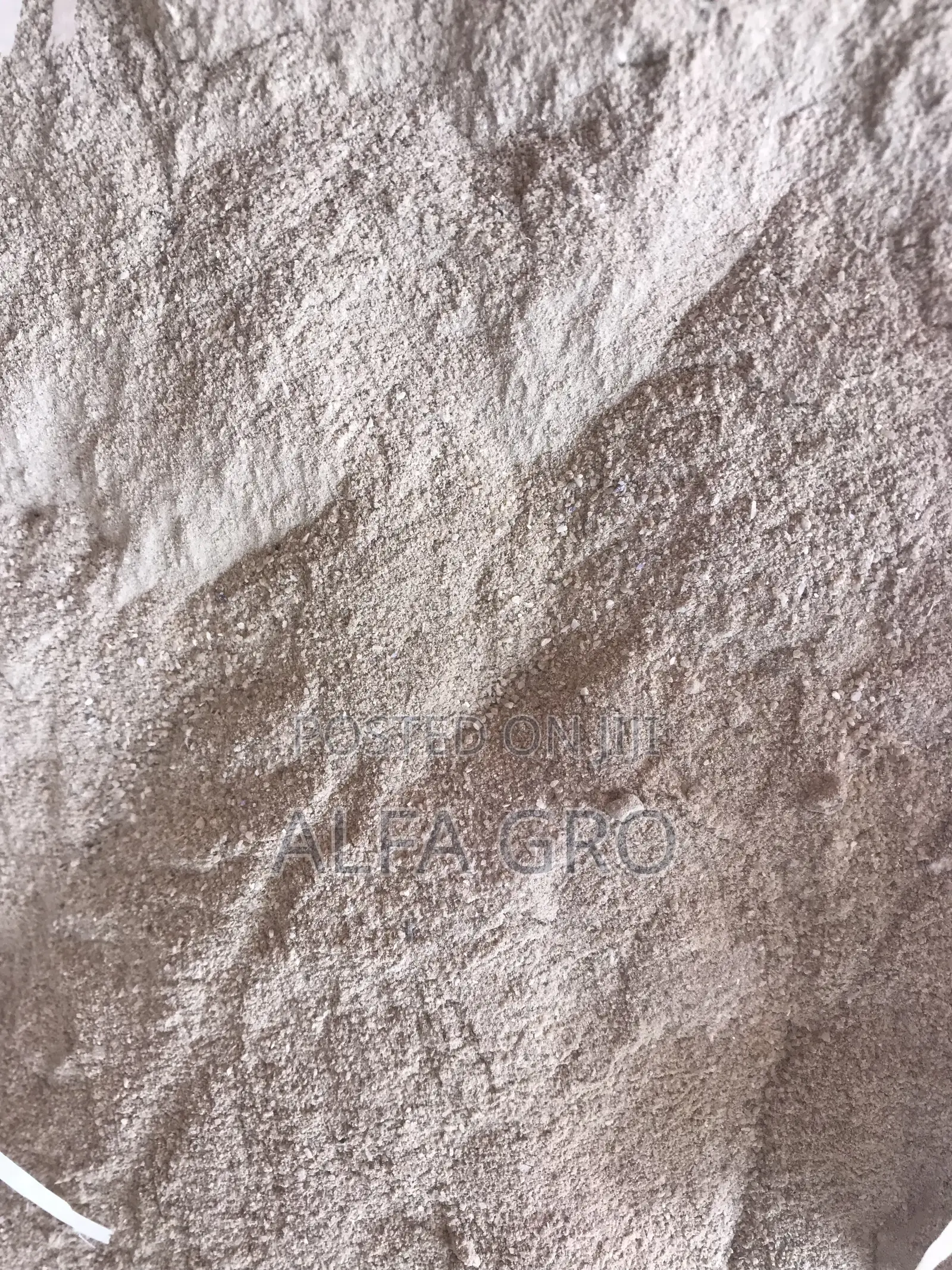 Oyster Shells