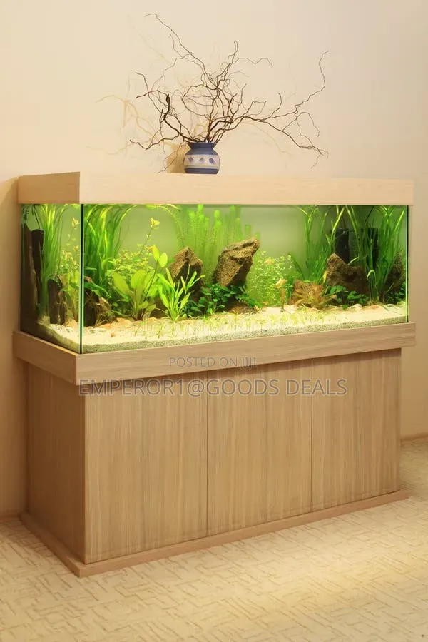 Aquarium With Fish