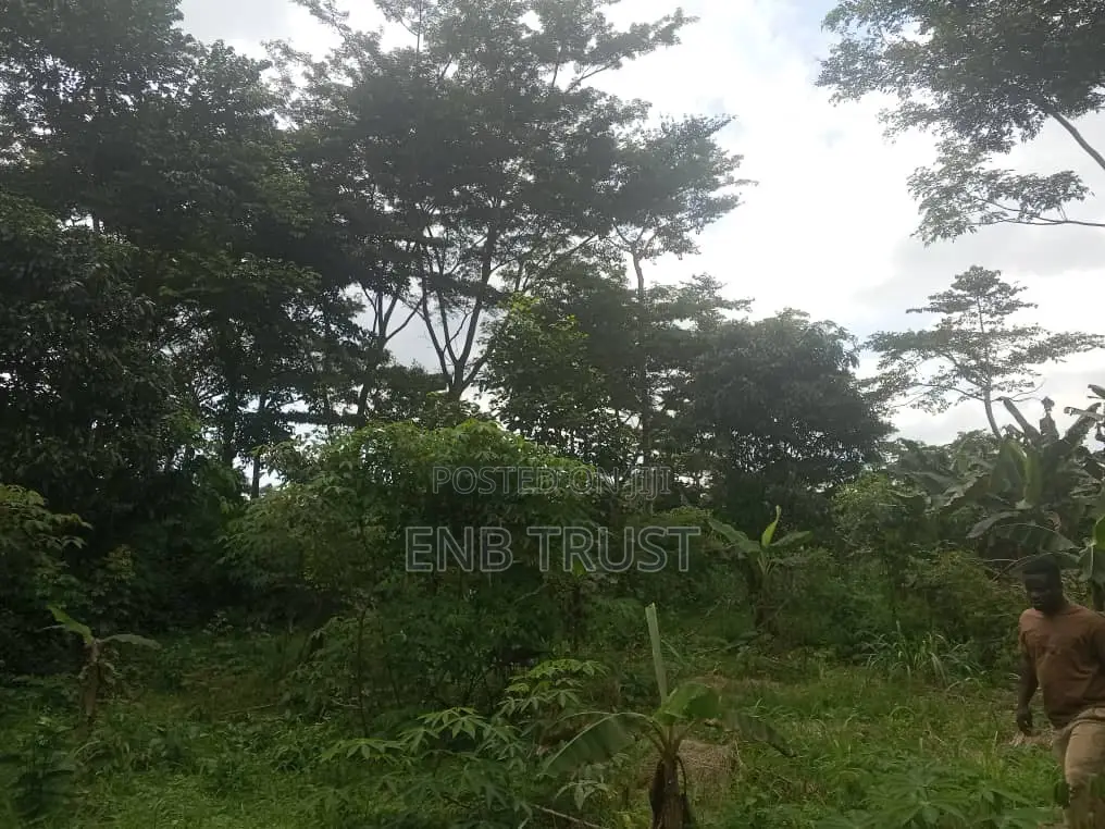 1 Acre of Land for Sale at Kwahu Township