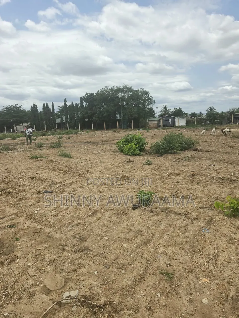Ttitled Land Document