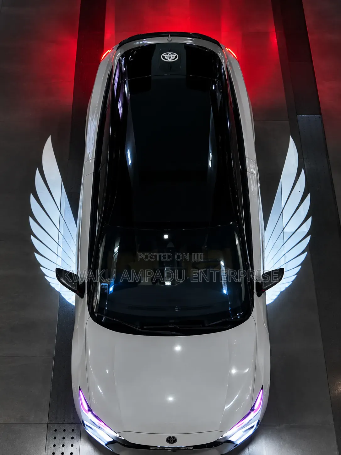 Car Angel Wing Projection Light