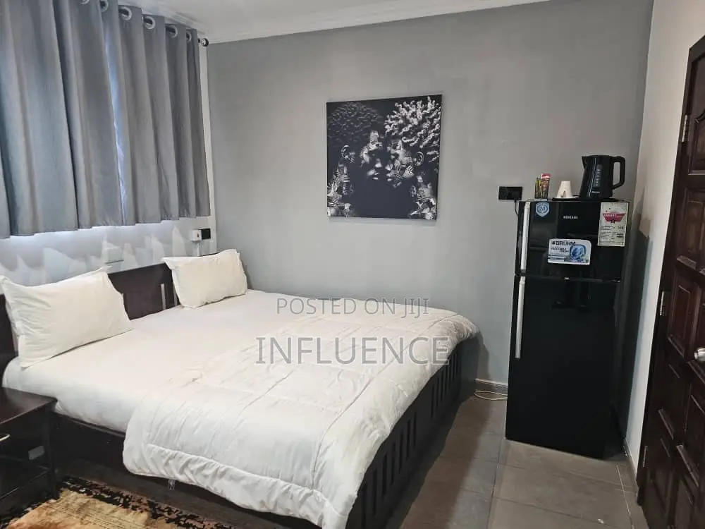 Furnished 1bdrm Apartment in Osu for rent