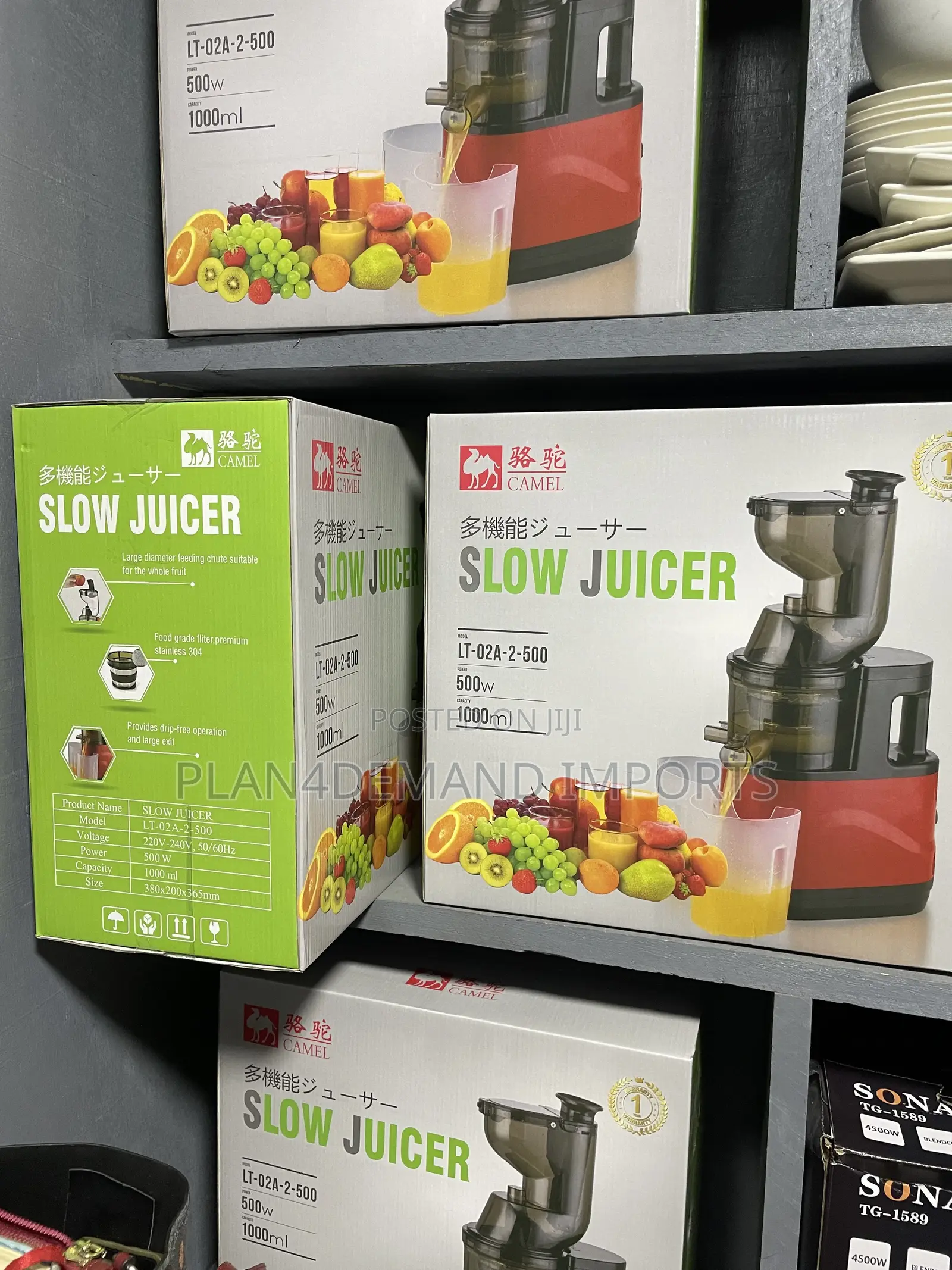 Slow Juicer