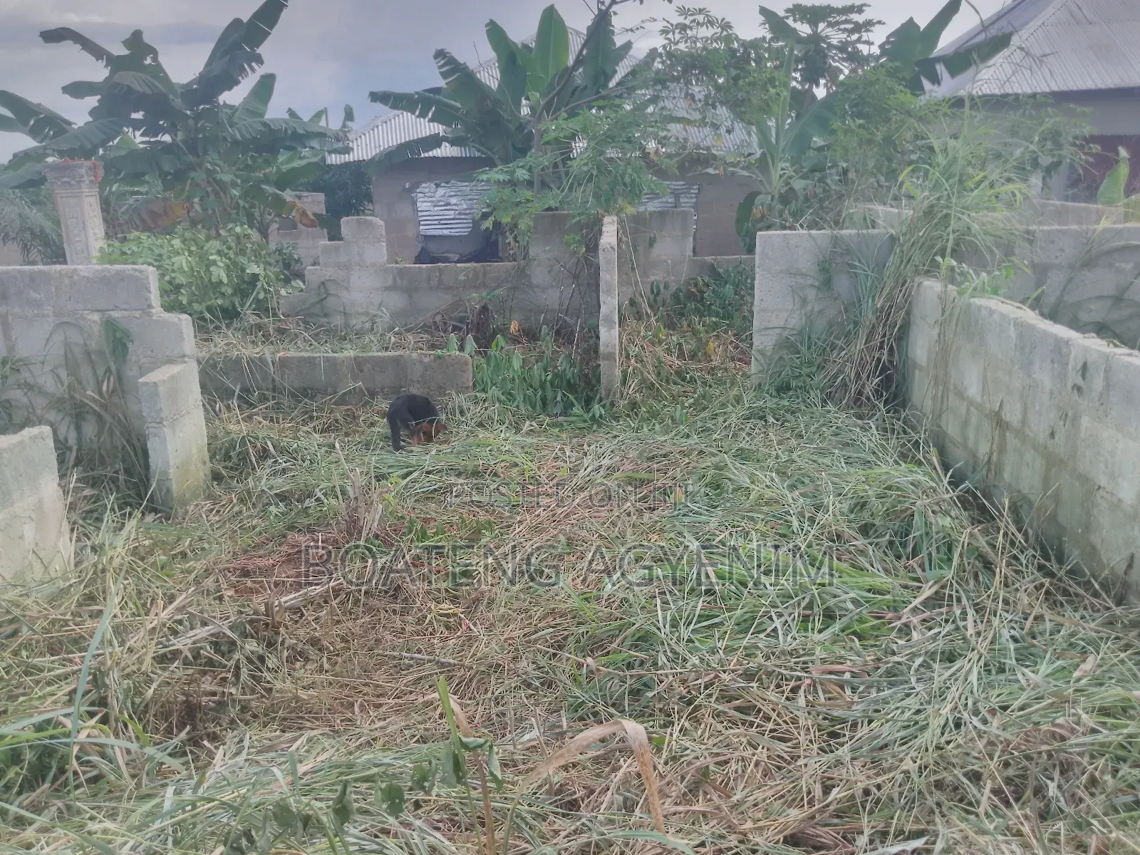 3bdrm House in Safo Kwabre East for sale