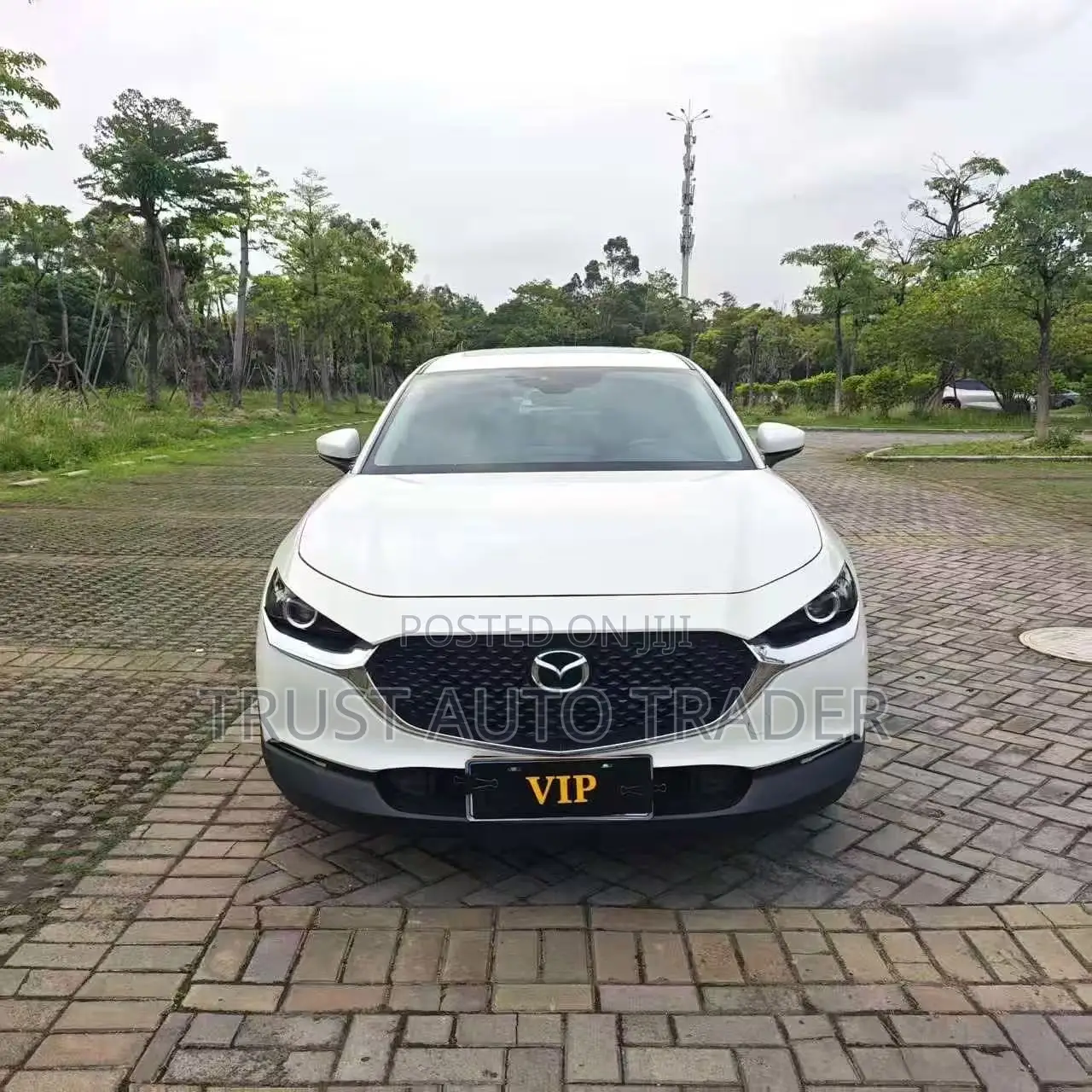 Mazda CX-30 Premium 2020 White