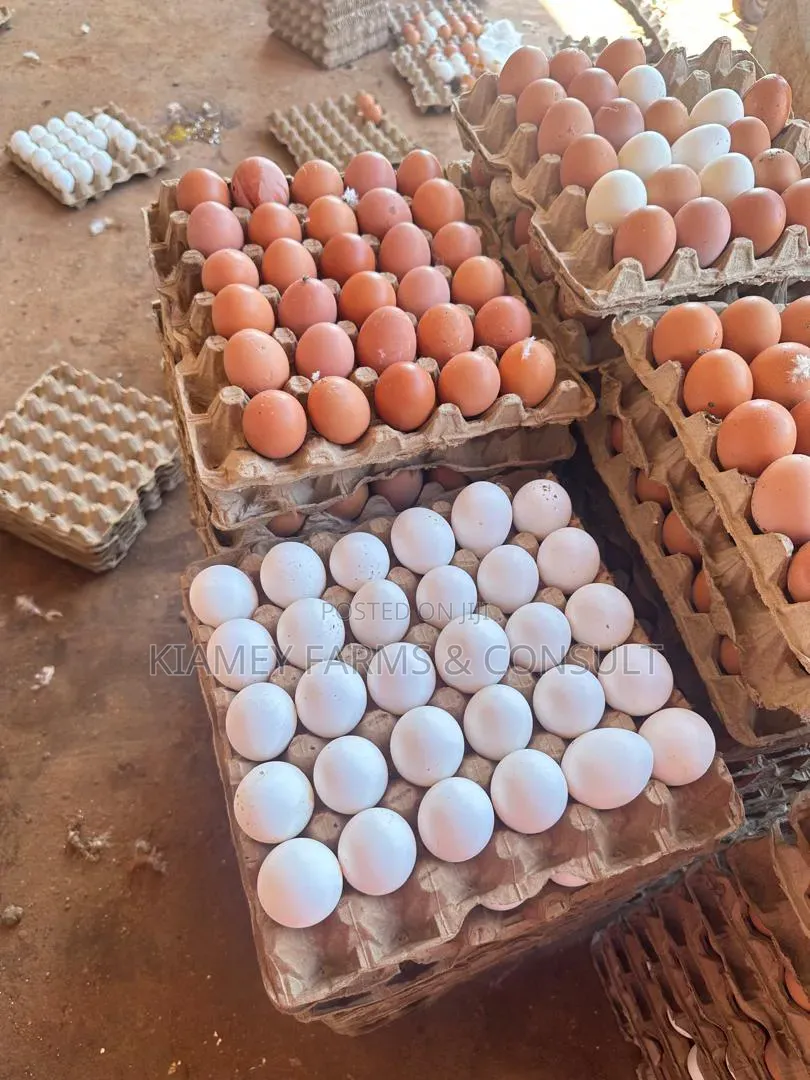 Chicken Eggs