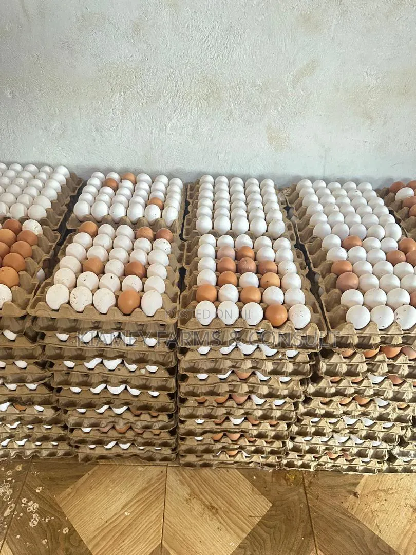 Chicken Eggs