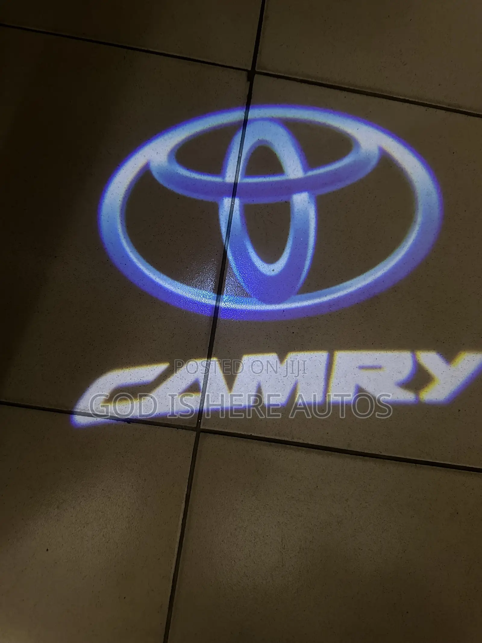 Door Shadow Light( Logo Light) for All Cars
