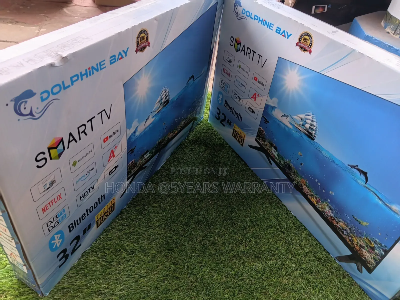 Dolphine Bay TV - Frameless, Best Price